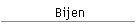 Bijen