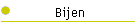 Bijen